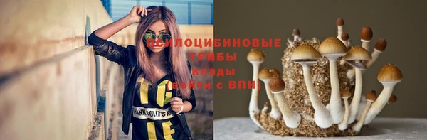 тгк Верея