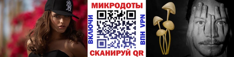 Псилоцибиновые грибы мицелий купить закладку Улан-Удэ